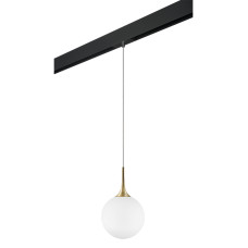 Трековый светильник Lightstar Globo PRO813032 (813032+595007)