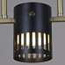 Потолочная люстра Reluce 06675-0.3-03 GD+BK GX53