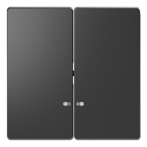 Клавиша двойная Schneider Electric Merten D-Life MTN3420-6034