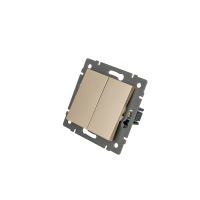 Механизм выключателя двухклавишный самовозвратный Arlight SWT-MKR2-PL-GD-V (250V, 10A) 049886