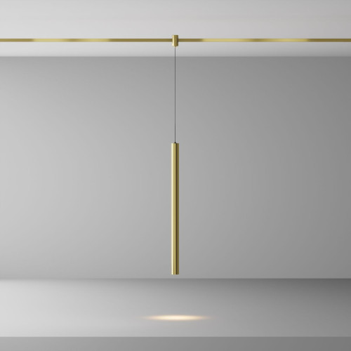 Трековый магнитный светильник Maytoni Focus LED TR156-1-5W3K-BS