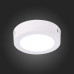 Настенно-потолочный светодиодный светильник ST Luce Nubes ST112.542.06