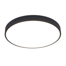 Потолочный светодиодный светильник Arte Lamp Arena A2686PL-35BK