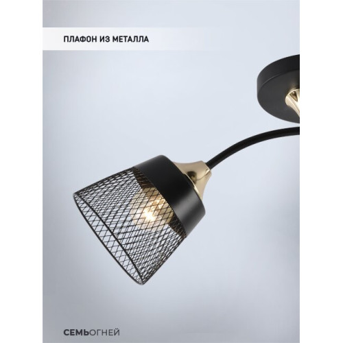 Потолочный светильник Seven Fires Bens SF3381/2C-BK-FGD-BK