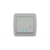 Переключатель с подсветкой ELBI Eva 554-011500-210