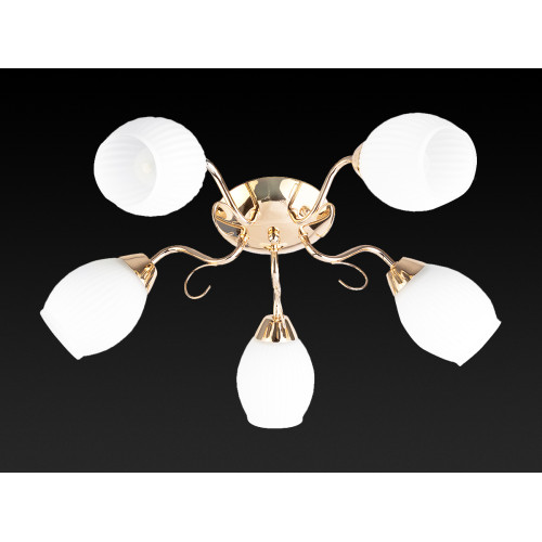Потолочная люстра Toplight Kristin TL3520X-05FG