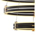 Подвесная люстра Zortes Duble-R ZRS.30515.228