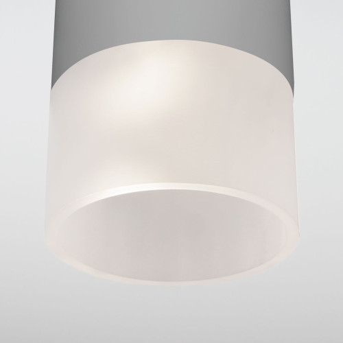 Уличный потолочный светильник Elektrostandard Light LED 4690389177934