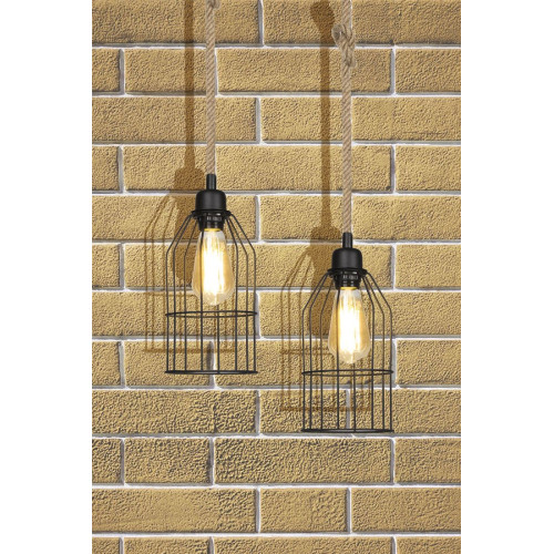 Подвесной светильник Toplight Alfreda TL1601H-01BK