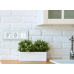 Выключатель двухклавишный Legrand Inspiria 673620