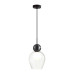 Подвесной светильник Odeon Light Blacky 5023/1