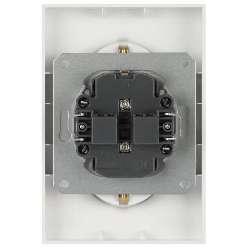 Розетка Эра Arktik 16-2105-04 двойная с заземлением 2X2P+E Schuko со шторками 16А-250В шампань Б0070457