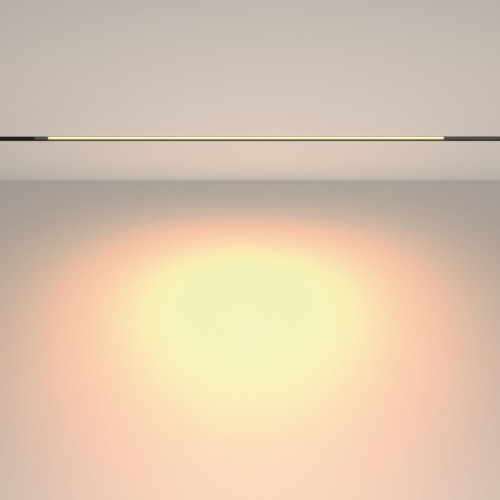 Трековый магнитный светильник Maytoni Technical Basis TR231-2-15W3K-B