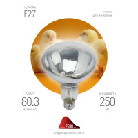 Инфракрасная лампа для обогрева животных и освещения Эра ИКЗ 220-250 R127 E27 Б0055440