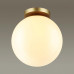 Потолочный светильник Odeon Light 4248/1C