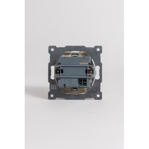 Розетка с двумя разъемами USB + Tupe C+A ELBI Zena Vega 609-010300-335