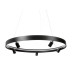 Подвесная люстра Myfar James MR2201-1PL