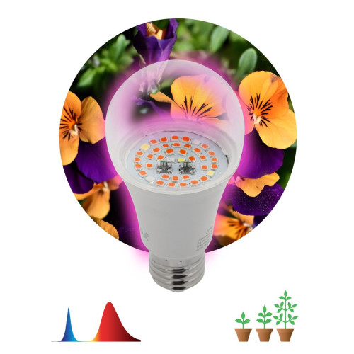 Фитолампа для растений светодиодная ЭРА E27 12W 1310K FITO-12W-RB-E27-K Б0039070