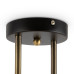 Потолочная люстра Freya Glow FR5129PL-06B