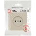 Розетка Эра Arktik 16-2106-04 без заземления 2P 16А-250В шампань Б0071676