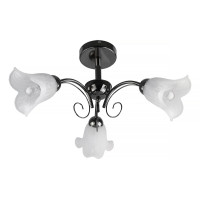 Потолочная люстра Toplight Magdalene TL3490X-03BC