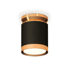 Потолочный светильник Ambrella Light Techno Spot XS8142030 (N8909, C8142, N8124)