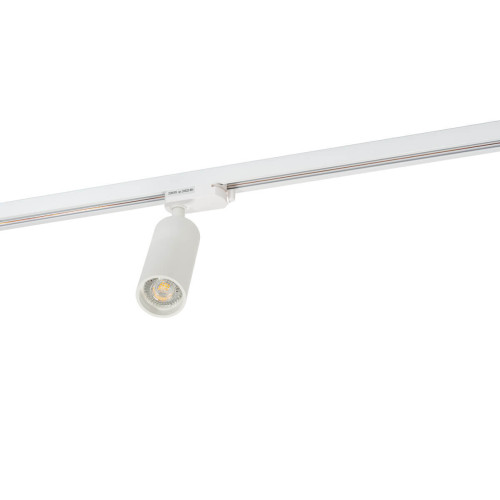 Светильник на шине Denkirs DK6202-WH