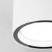 Уличный потолочный светильник Elektrostandard Light 4690389180828