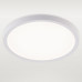 Потолочный светильник Natali Kovaltseva Plain LED LAMPS 81113/2C