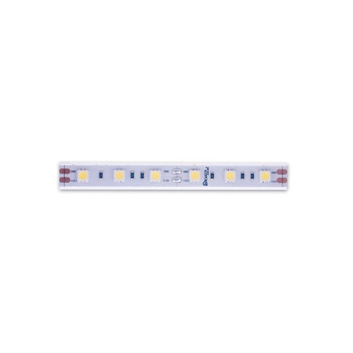 Светодиодная лента DesignLed DSG560-12-W-65 000518