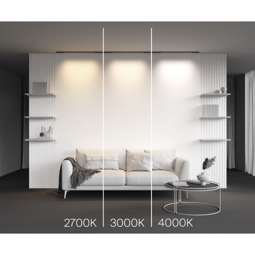 Трековый магнитный светильник Maytoni Basis TR190-1-10W4K-B