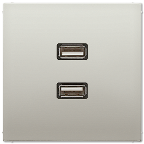 Розетка USB Jung MAES1153