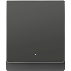 YLP-D Smart Wall Switch(1 key) grey