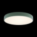 Потолочный светильник Loft IT AXEL 10002/24 Green