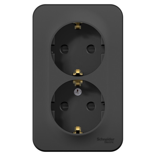 Розетка 2-ая с/з со шторками 16А,250В, изолир. пластина Systeme Electric Blanca наруж Антрацит BLNRA011216