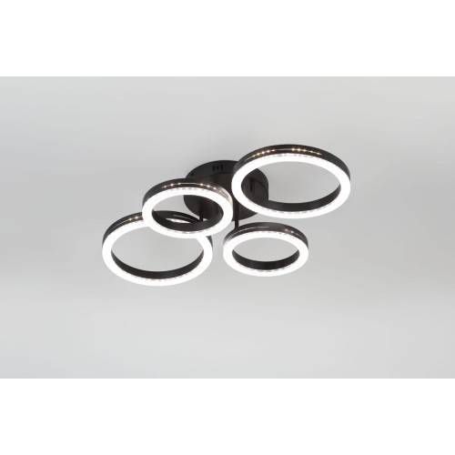 Потолочный светильник Rivoli Flora 6191-201