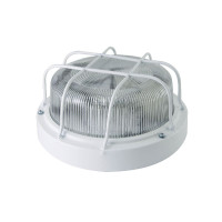 Настенно-потолочный светильник TDM Electric НПП 03-100-103 SQ0311-0020
