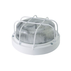 Настенно-потолочный светильник TDM Electric НПП 03-100-103 SQ0311-0020