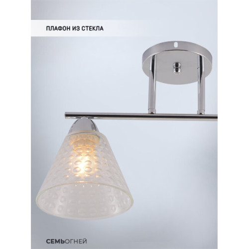 Потолочный светильник Seven Fires Fabius SF3391/2C-CR-CL