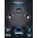 Потолочный светильник Seven Fires Bens SF3381/2C-BK-FGD-BK