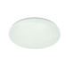 Потолочный светильник Escada Galatea 10216/SG LED APP