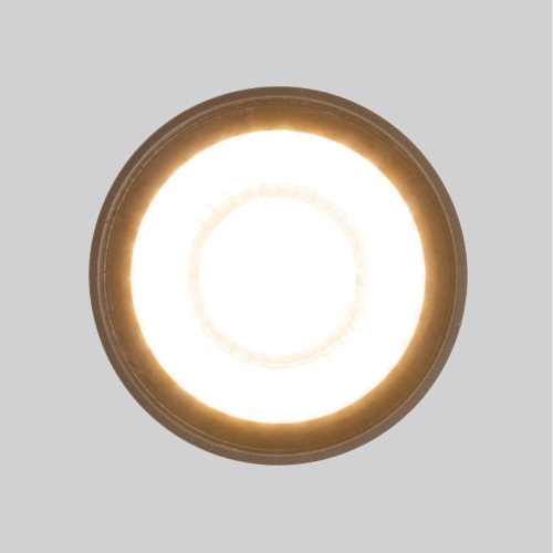 Уличный потолочный светильник Elektrostandard Light LED 4690389176975
