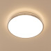 Потолочный светодиодный светильник Citilux Луна CL702301W