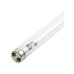 Лампа люминесцентная TDM Electric G13 36W 4000K белая SQ0355-0029