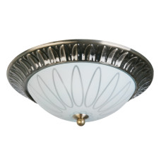 Накладной светильник Toplight Paulina TL5050Y-02AB