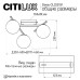 Потолочная люстра Citilux Dorsy CL223131