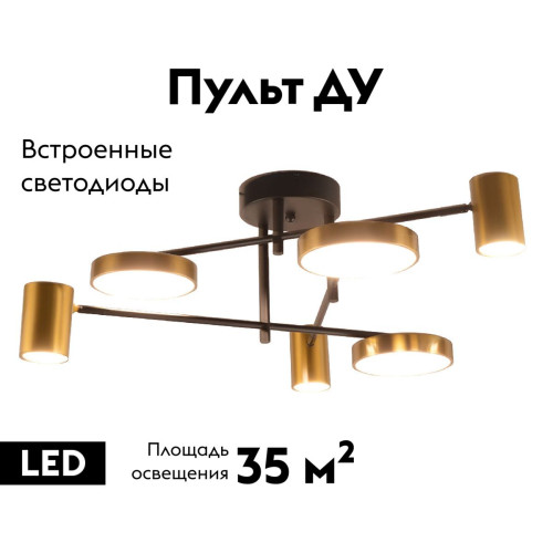 Потолочная люстра Kink Light Рапис 07645-6D,19(20)