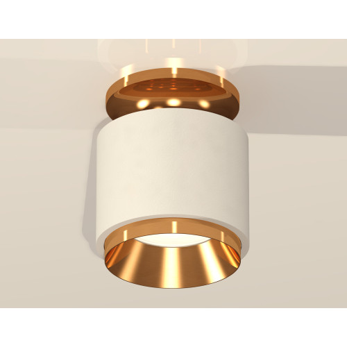 Потолочный светильник Ambrella Light Techno Spot XS7510120 (N7929, C7510, N7034)