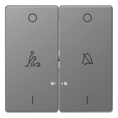 Клавиша двойная Schneider Electric Merten D-Life MTN3429-6036