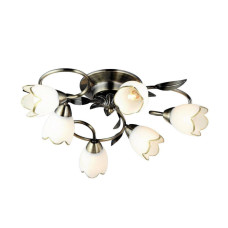 Потолочная люстра Arte Lamp 4 A6061PL-6AB